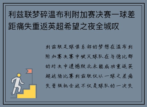 利兹联梦碎温布利附加赛决赛一球差距痛失重返英超希望之夜全城叹