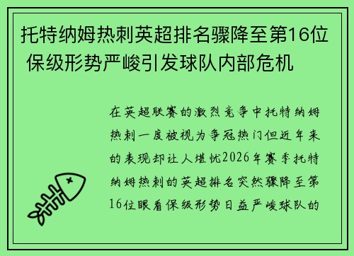 托特纳姆热刺英超排名骤降至第16位 保级形势严峻引发球队内部危机
