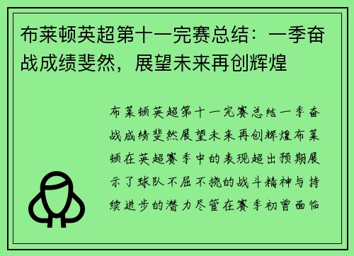 布莱顿英超第十一完赛总结：一季奋战成绩斐然，展望未来再创辉煌