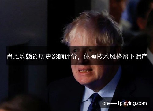 肖恩约翰逊历史影响评价，体操技术风格留下遗产